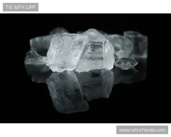 皮斯托瑞斯家的冰箱里，连冰块都是定制的